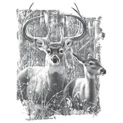 IN HIS DOMAIN 09388SA2.gif